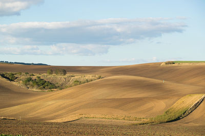 Scenic view of agricultural field against sky