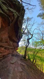 Rock formation amidst trees against sky