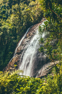 Scenic view of waterfall in forest