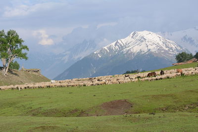 Scenic view of landscape and mountains against sky