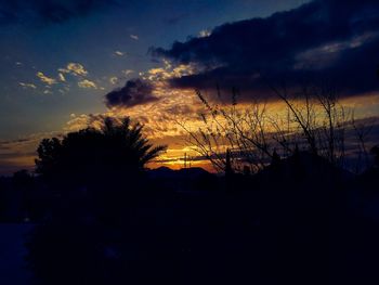 Silhouette plants against dramatic sky during sunset