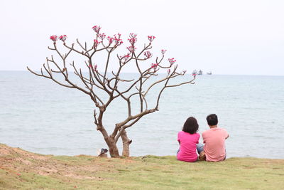 Rear view of couple siting on land by sea against clear sky