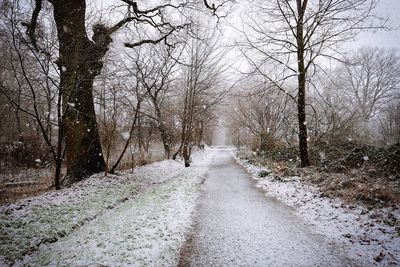 Road amidst bare trees during winter