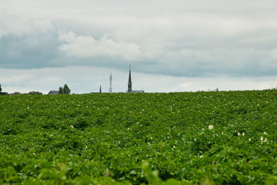 Scenic view of field against sky