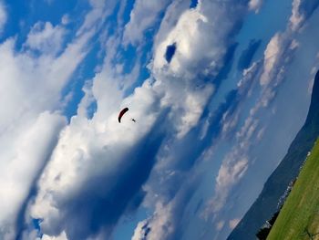 Low angle view of bird flying in sky