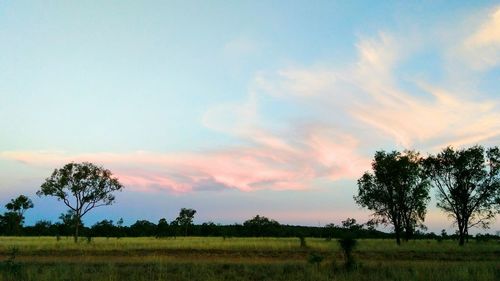 Scenic view of field against sky during sunset