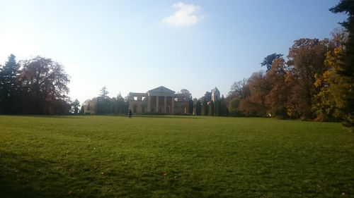 Trees on grassy field