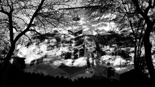 Low angle view of bare trees against sky
