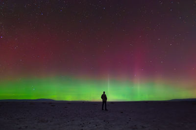 Rear view of woman standing on beach