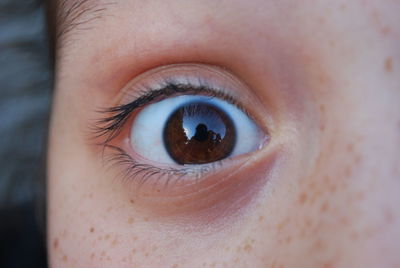 Cropped portrait of woman with brown eyes