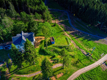 High angle view of trees on field