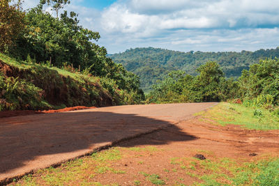An empty road against trees in othaya, kenya