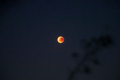 Low angle view of moon against sky at night