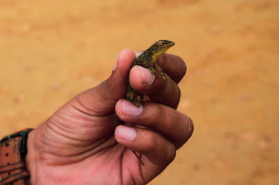 Close-up of person holding hand