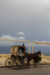 Man sitting on horse cart over road against sky
