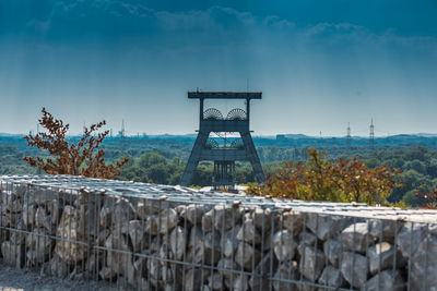 Plants growing on land against sky