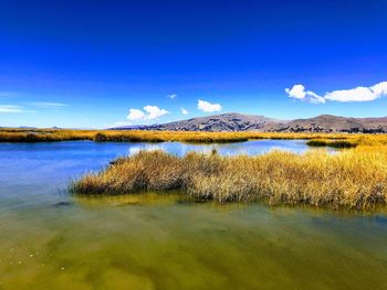 Scenic view of lake against blue sky