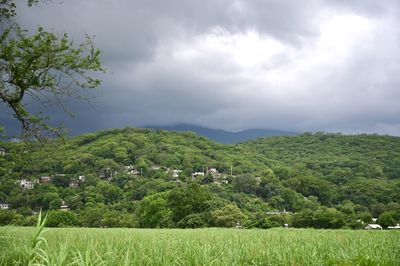 Scenic view of landscape against sky