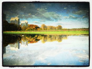 Reflection of trees in water