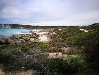 Scenic view of sea against sky