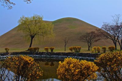 Scenic view of grassy field against cloudy sky