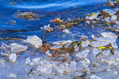 water