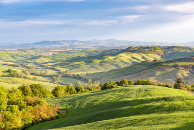 Rural rolling landscape view with fields and groves of trees in a valley in tuscany