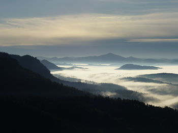Fairy sunrise in hilly forest landscape in morning. heavy mislky fog over the majestic pine forest.