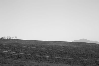 Scenic view of field against clear sky