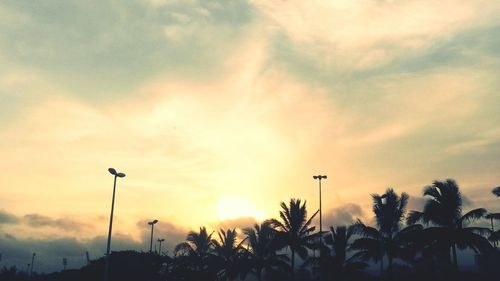 Low angle view of silhouette palm trees against sky