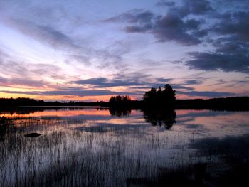 Reflection of silhouette plants in water against sky during sunset