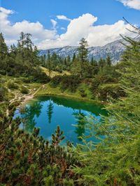 Scenic view of lake by trees against sky