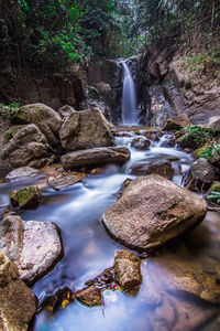 Scenic view of waterfall in forest