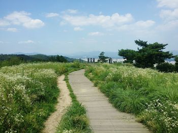 Footpath leading towards field