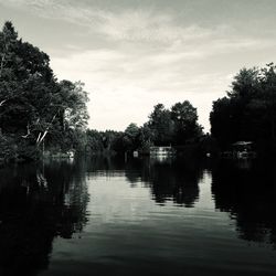 Reflection of trees in water