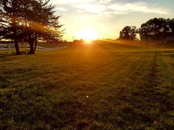 Scenic view of field against sky during sunset