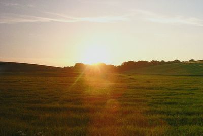 Scenic view of field against sky during sunset