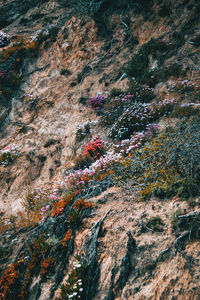 Full frame shot of rock formation on land