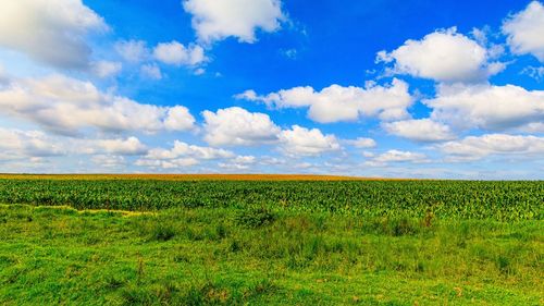 Scenic view of field against sky