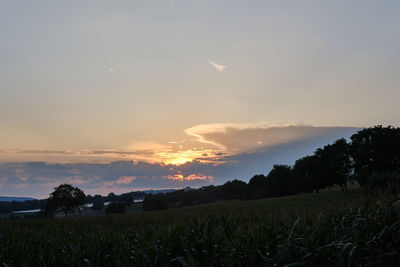 Scenic view of field against sky during sunset