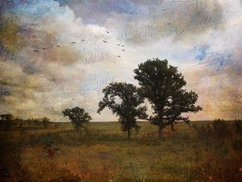 Tree on field against sky