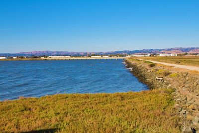 Scenic view of sea against clear blue sky