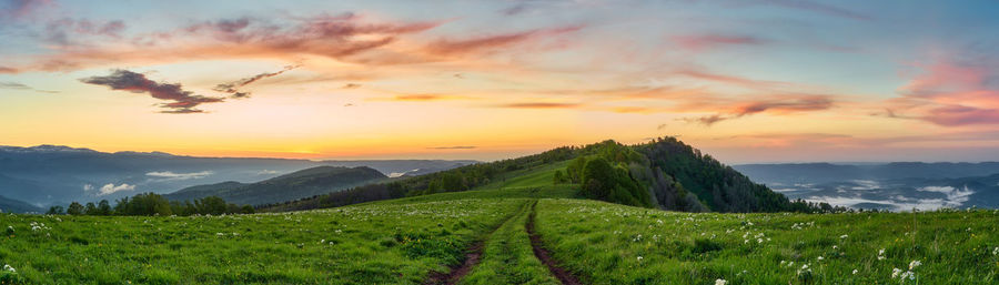 Scenic view of field against sky during sunset