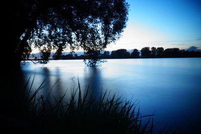 Reflection of trees in calm lake