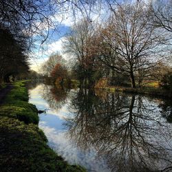 Reflection of trees in lake against sky