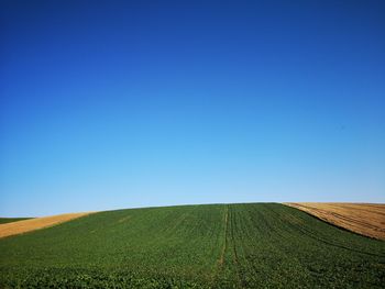 Scenic view of agricultural field against clear blue sky