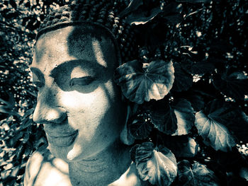 Close-up of buddha statue by tree