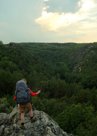 Rear view of man looking at mountain against sky