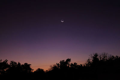 Low angle view of silhouette trees against sky at night