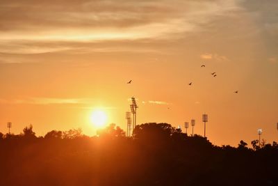 Silhouette birds flying in sky during sunset